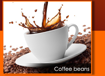 Coffee & Coffee Beans, roasted coffee beans, green coffee beans